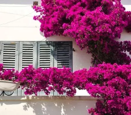 Magnifique Loft Rooftop Et Piscine 5 Villa Bandol